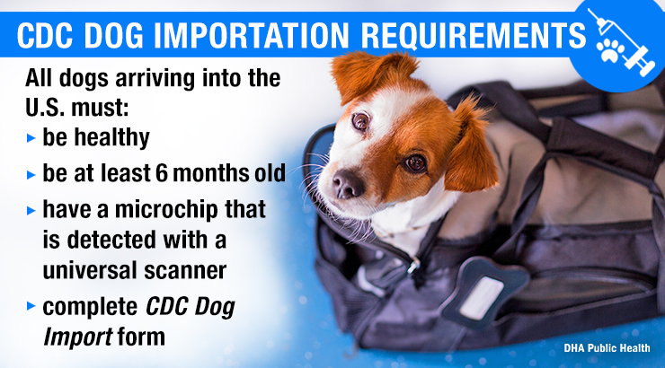 Image of DHA Veterinary Services Explains Updated CDC Dog Importation Guidelines.