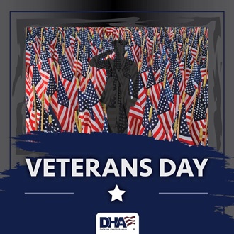 Link to Infographic: Veterans Day