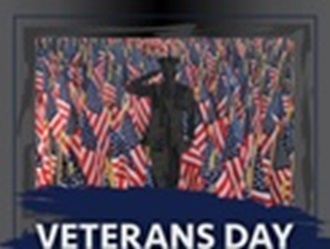 Link to Infographic: Veterans Day