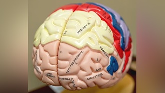 Link to Photo: A decade of impact: 10 Years of U.S. military partnership with NCAA improves concussion research and care