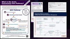 Acute Concussion Care Pathway Overview