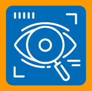 Image for Vision Research