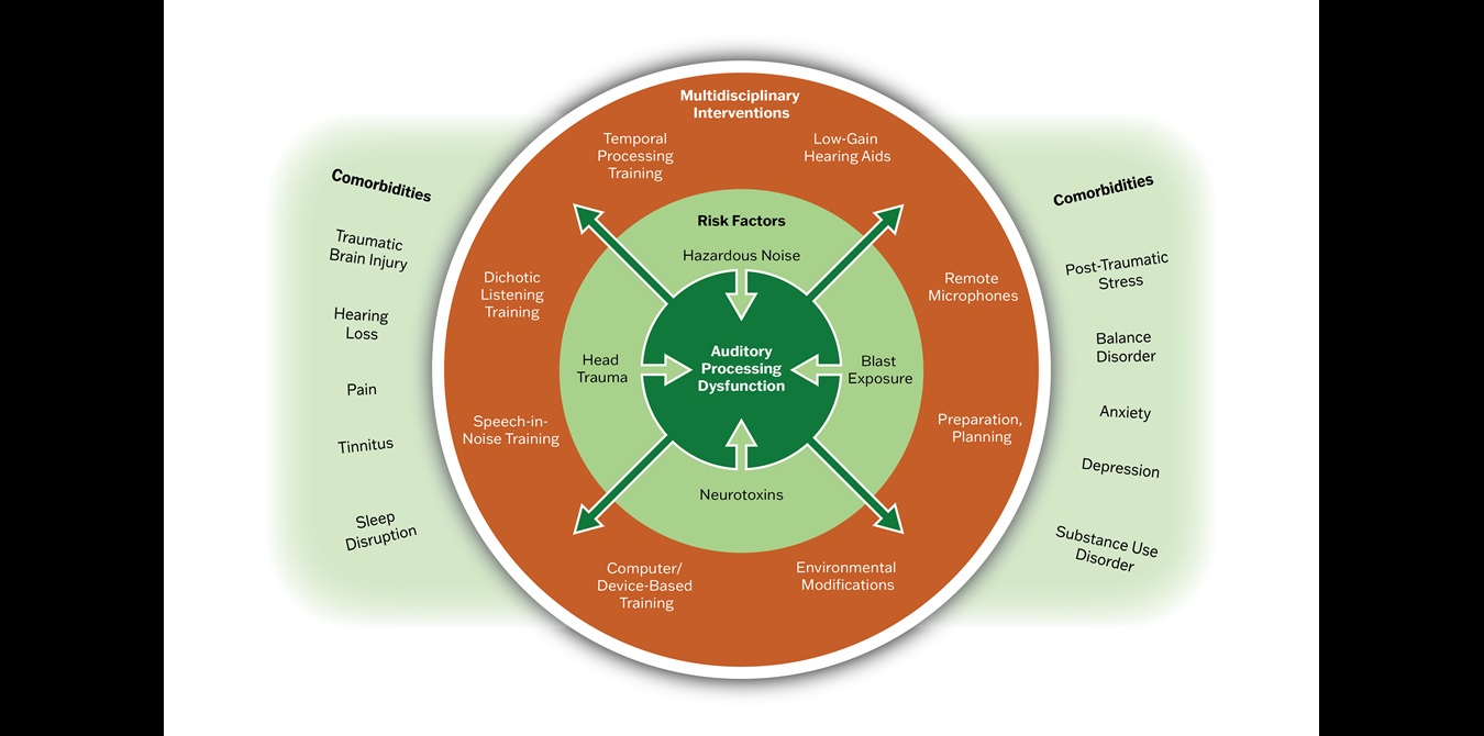 Auditory Processing Dysfunction Multidisciplinary Interventions