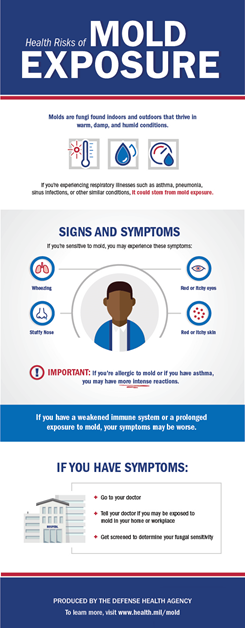 This infographic describes what mold is and describes the signs and symptoms of a mold allergy