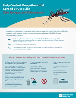 Infographic about preventing Mosquitoes