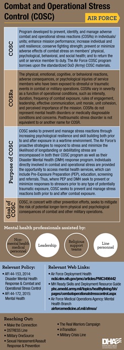 Infographic depicting the Air Force COSC program