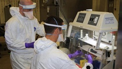 Military personnel performing surveillance and laboratory testing