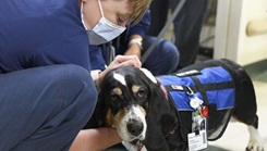 Military personnel with support dog