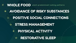 6 Pillars of Lifestyle and Performance