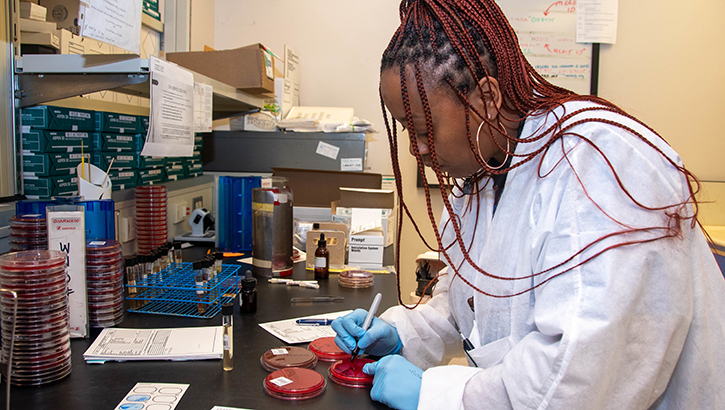 Image of Laboratory Technician Andrienne Collier works with wound cultures to isolate microorganisms while working at the Naval Medical Center Portsmouth laboratory. As part of the Defense Health Agency’s Tidewater Market, the NMCP laboratory provides a comprehensive range of anatomic pathology, blood bank, and clinical pathology services to eligible beneficiaries in the Tidewater region. (U.S. Navy photo by Mass Communication Specialist 2nd Class Dylan M. Kinee/Released).