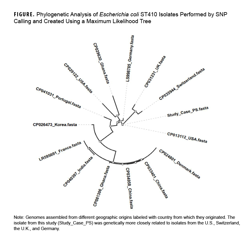 This graph spatially arranges the case report’s E. coli strain in genetic relation to 14 different E. coli genomes from various geographic origins, labeled by ST410 isolate number and country of origin. The of each strain shows that the isolate from this study is genetically more closely related to isolates from the U.S., Switzerland, the U.K., and Germany than isolates from the Indian subcontinent or southeast Asia.