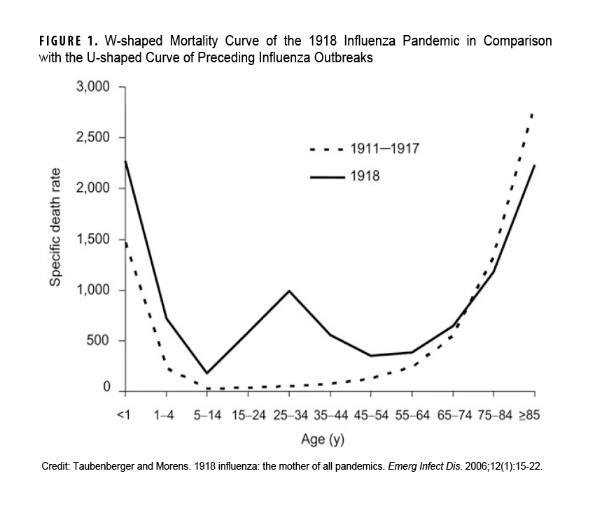 This graph consists of two curved lines, oriented along the horizontal, or x-, axis, each connecting 11 discrete data points oriented along the vertical, or y-, axis. The marks on the x-axis represent specific age ranges, starting with those under one year of age, then one to four year olds, and then 10 year age ranges until the final mark representing those 85 years of age and older. The two curved lines represent mortality rates for influenza, one for the period of 1911 through 1917, and the other for the year 1918. The 1911-1917 curve is U-shaped, which is typical for influenza data visualization, representing higher death rates among the very youngest and very oldest segments of the population, but with minimal mortality from the 5 to 14 through the 45 to 54 age groups. The 1918 curve is W-shaped, with noticeably higher rates than 1911-1917 among the very youngest, and an extraordinary spike in mortality that peaks among the 25 to 34 year-old age group, with only slightly lower rates among the very oldest.