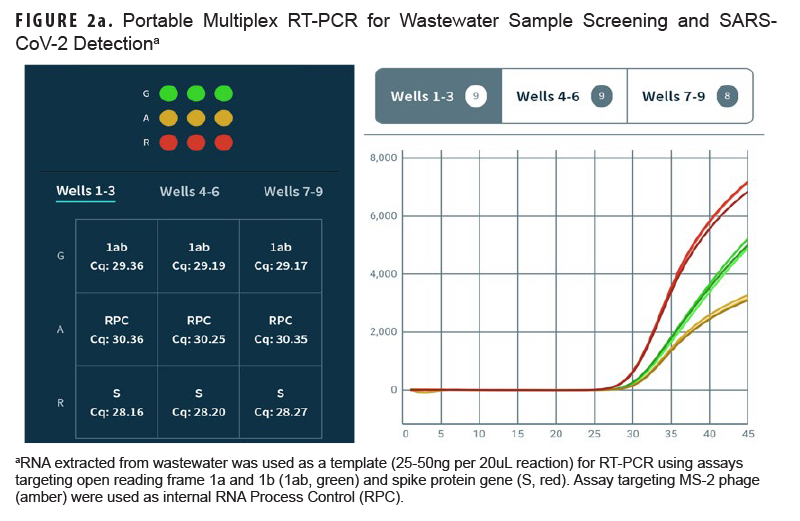 This graphic provides a representation of portable multiplex real time polymerase chain reaction sample layout and instrument output.