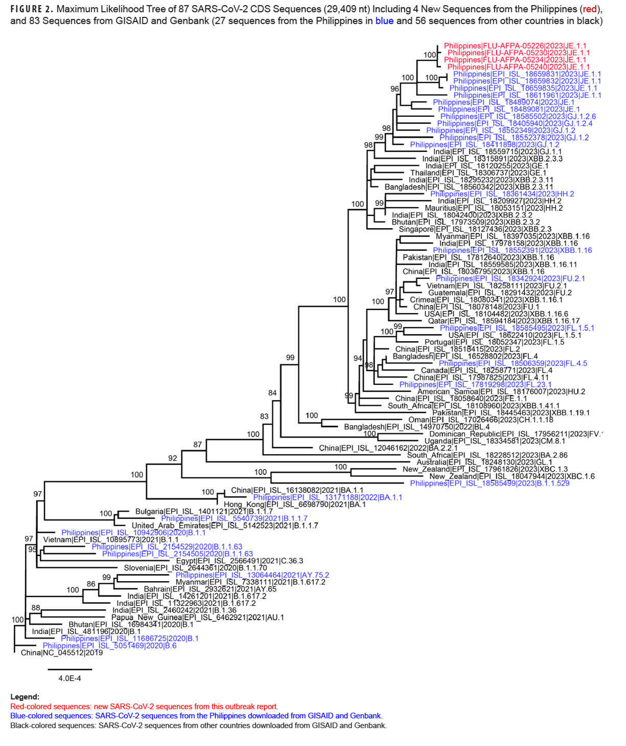 Through the use of a maximum likelihood phylogenetic tree , this graph pictorially represents the evolutionary lineage of 87 selected SARS-CoV-2 gene sequence and geographic locations of origin from newly and previously identified SARS-CoV-2 isolates. Starting with the China|NC_045512|2019 and Philippines|EPI_ISL_5051469|2020|B.6 sequences, the tree branches 19 times to reach the four newly identified Philippines|FLU-AFPA-05|2023|JE.1.1 sequences. 