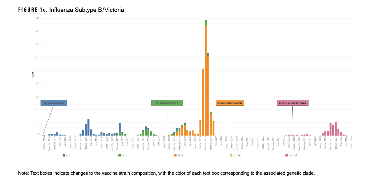 FIGURE 1c. Influenza Clades for Influenza Subtype B/Victoria, October 2014–August 2024. This graph presents a series of stacked vertical columns, each of which represents the total number of influenza specimens that were characterized by a clade in a given month. The segments of each column depict the clades of influenza characterized. The horizontal, or x-, axis is divided into 119 individual months, from October 2014 through August 2024. Text box labels affixed to the graph indicate changes to the prevailing vaccine strain composition, with the color of each text box corresponding to the associated genetic clade. This graph shows only five distinct clades throughout the 10 year period.