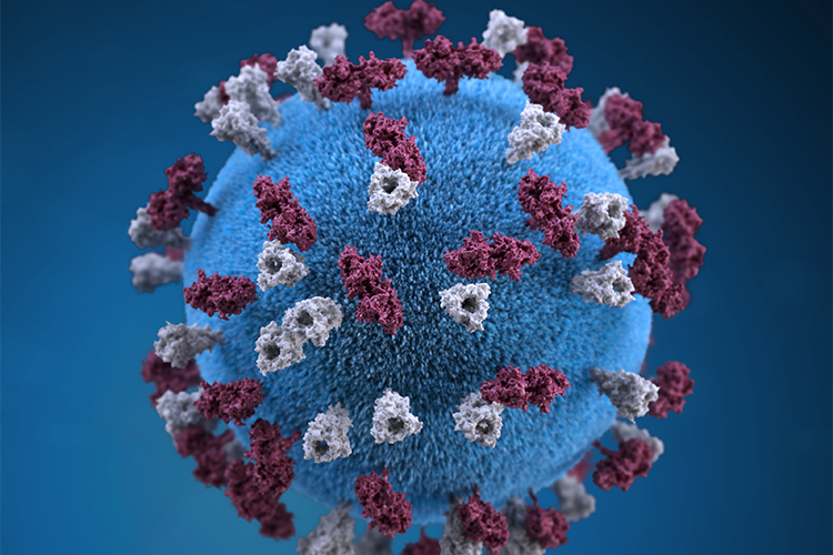 Image of Photo1_ToC_CDCPHIL21074.