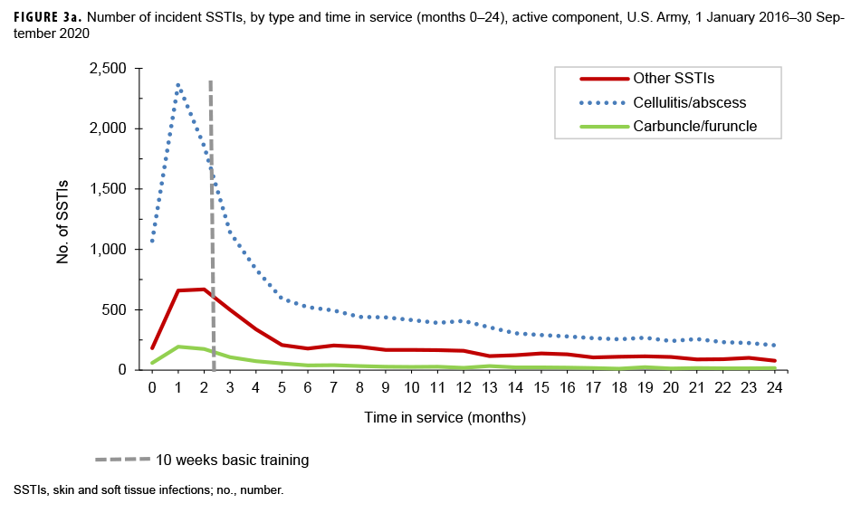 FIGURE 3a. Number of incident SSTIs, by type and time in service (months 0–24), active component, U.S. Army, 1 January 2016–30 September 2020