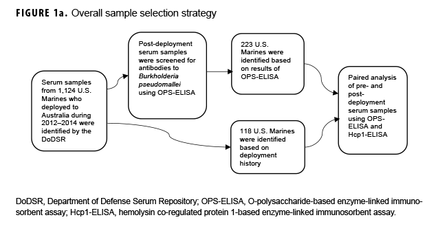 Overall sample selection strategy