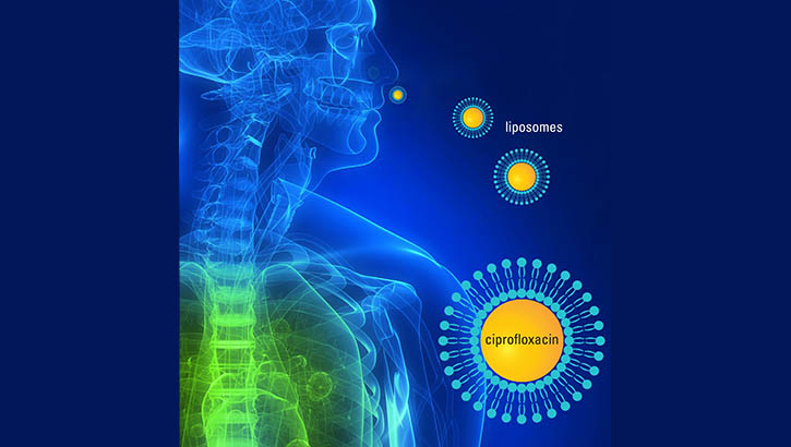 Image of Graphic image of a skeleton.