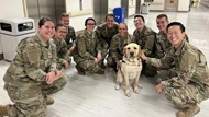 New pediatric interns and MAJ Budd, the command facility dog. 