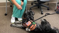 One of our nurses enjoying a visit with a BAMC therapy dog in the Rheumatology clinic. 