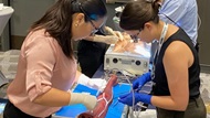 A group of general surgery residents competing in a skills competition at the Pacific Northwest Endovascular Conference in Seattle, Washington. 