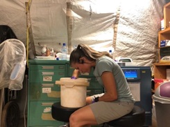 Maj. Elizabeth Foley, a U.S. Air Force entomologist and bug expert, is chief of the force health branch at the U.S. Air Force School of Aerospace Medicine, Wright-Patterson Air Force Base, Dayton, Ohio. Foley, in a makeshift lab, is looking for mosquitos and mosquito larvae in a water sample. (Photo: Air Force Maj. Elizabeth Foley)