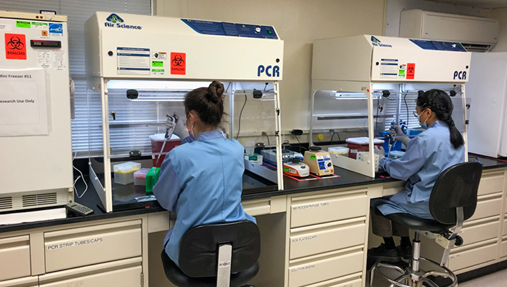 Image of Lab technicians doing genome research.