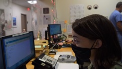 Military health personnel wearing a face mask looking at a computer screen