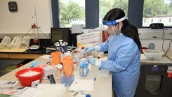 Medical personnel in PPE, conducting lab tests