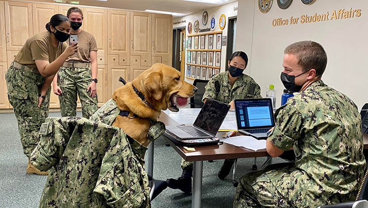 Image of A dog interacts with students.