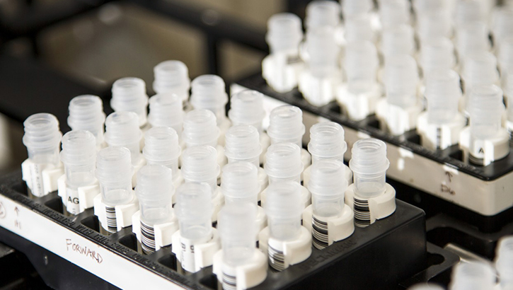 Image of Two groups of vials on a table.