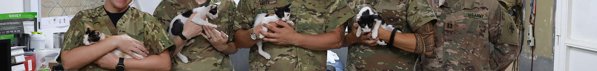 Soldiers of the 168th Medical Detachment of Veterinary Support Services, located on Ali Al Salem Air Base in Kuwait, conduct a mission to capture different creatures in Kuwait, in order to study them for diseases and any other medical dangers they may possess that could threaten our force. (U.S. Army photo by Cpl. Evan Anderson)